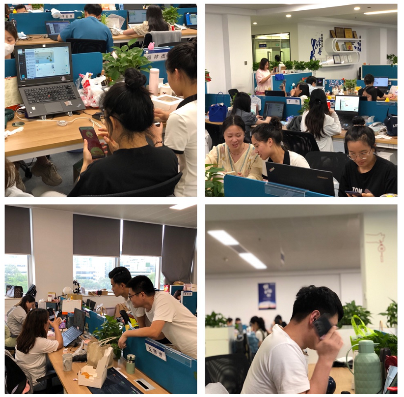 6008集团官方网站(中国)股份有限公司